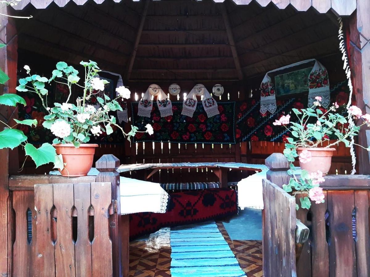 Pensiunea Maria Sighetu Marmatiei Exterior photo