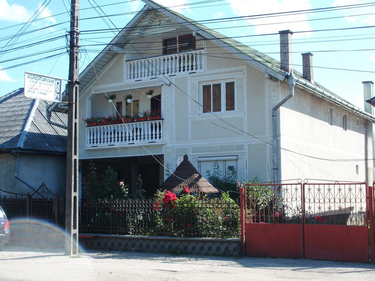 Pensiunea Maria Sighetu Marmatiei Exterior photo